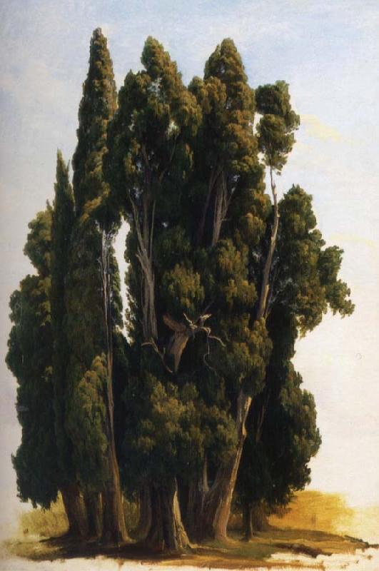 Gustaf Wilhelm Palm Cypresser Student oil painting image